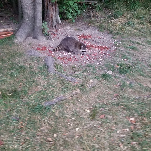 Meet your Posher, Janet - Picture 6 of 12